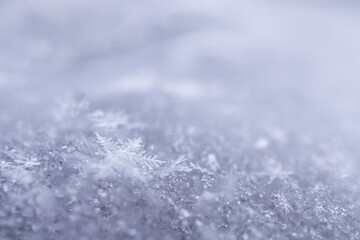 Macro shot of snowflakes. 