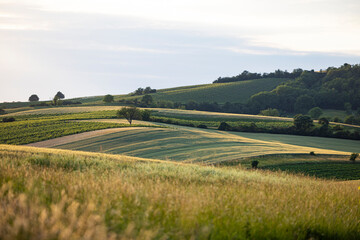 flat sunset amidst austrian cornfields and rolling hill