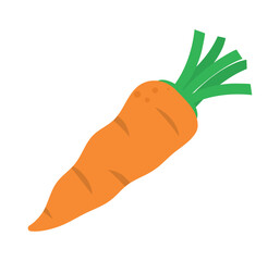 carrot cucumber icon
