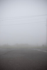fog in the fog