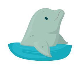 cute beluga out the water