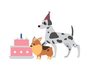 dogs birthday party