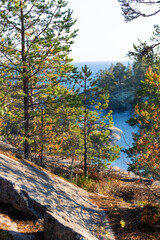 Ladoga skerries on the lake. A beautiful view of the rocky shores covered with pine trees. Nordic nature at sunset. Stunning view of islands and archipelago. National Park of Karelia