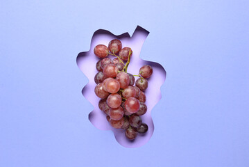 Composition with grape on color background
