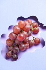 Composition with grape on color background, closeup