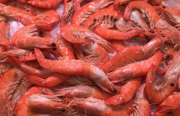Fresh shrimp background ready to be cooked