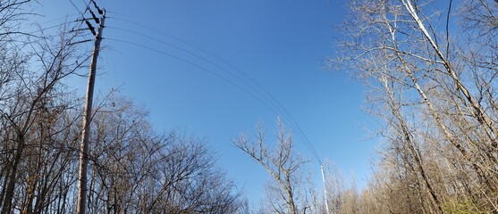 Donegal Cliffs Park During Autumn, Dublin, Ohio