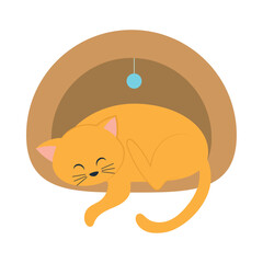 sleepy cat design