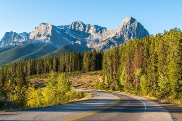 A winding road through the woods in the Canadian Rockies on a sunny fall day near Canmore, Alberta, Canada