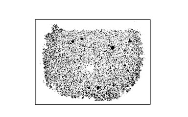 vector grunge effect idea for logo  illustration design etc