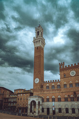 Fototapeta premium Tower of Mangia Siena, Italy
