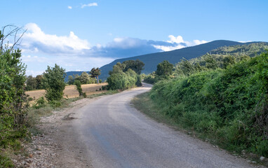 rural roads, a photo of a dirt road and landscape on a sunny day. Picturesque landscape with trees and a curving sandy path. Gerze, Sinop