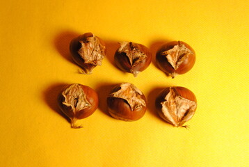 Chestnuts on yellow background