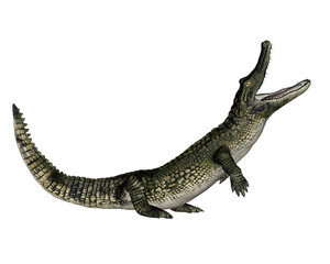 Obraz premium transparent