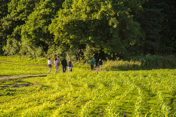 people walking in the field