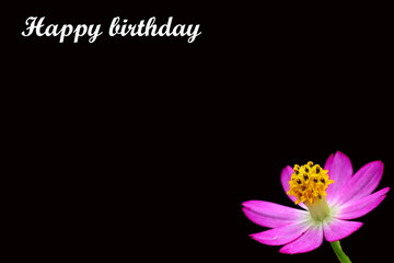 frame or background with flowers