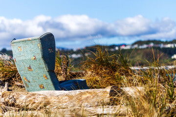 Old sofa dumped in the dunes of Lyall Bay in Wellington, New Zealand