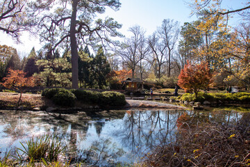 May mount Japanese nature park trail