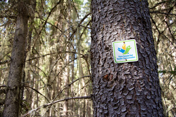 Trans Canada Trail sign on tree