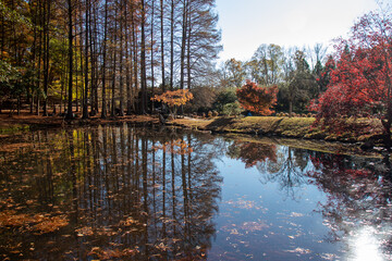 May mount Japanese nature park trail