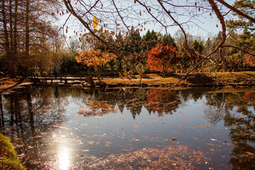 May mount Japanese nature park trail