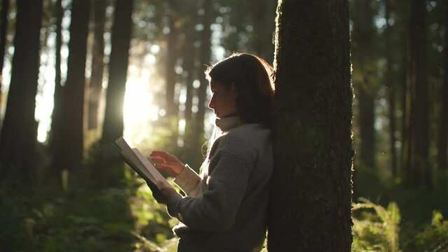 Girl reading book in forest at golden hour