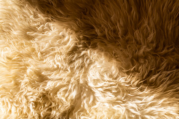 fur texture background