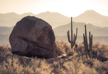 Hug Boulder And Saguaro Cactus Silhouette During Morning Light