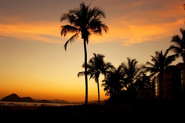 Fototapeta na wymiar Palm trees andd tropical vegetation on the beach during sunset. Riviera Beach, Bertioga, Brazil. reddish sky and reflections on the water.