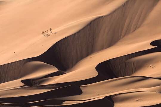 Desert Of Oman