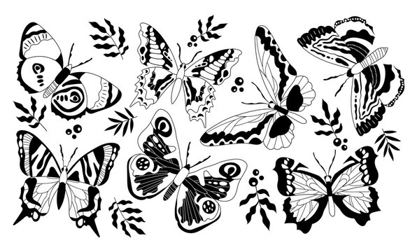 Butterflies black set. Collection of graphic elements for website, minimalism, art and creativity. Aesthetics and elegance, beauty. Cartoon flat vector illustrations isolated on white background