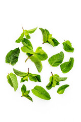 Green peppermint leaves pattern. Floral and herbs background