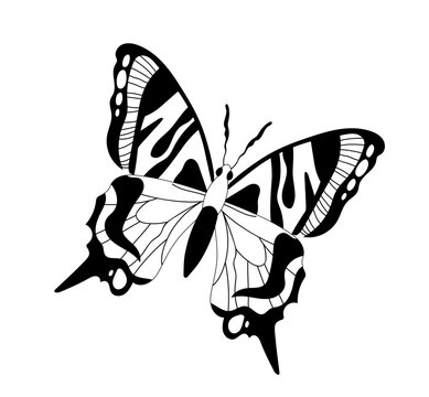 Butterfly line silhouette. Minimalistic graphic element for printing on fabric. Aesthetics and elegance, style. Spring season and wild life. Tenderness and love. Cartoon flat vector illustration