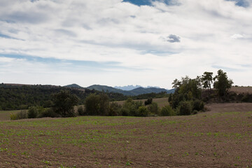 Obraz premium profile of the Montserrat mountains in the background as seen from the Osona region in central Catalonia, Spain.