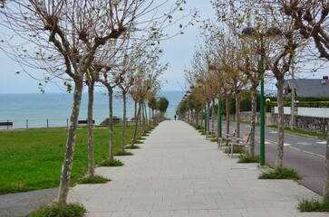 Paseo de Punta Galea con arboles y bancos a los lados y al fondo el mar