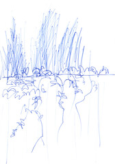 Lineart sketch of lianas on the fence, winter landscape with snow