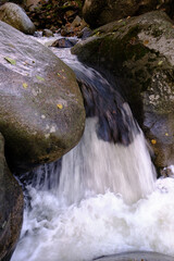 Water flowing over rocks in the forest