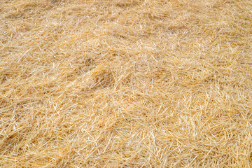 Natural dry straw background for designs