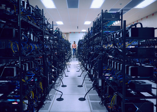 Female technician working in server room