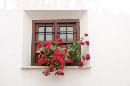 Spain, Cordoba, Red potted flowers on windowsill
