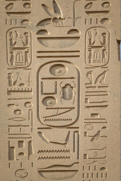 Egypt, Luxor, Hieroglyphic carvings at Temple of Karnak