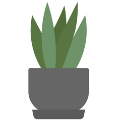 sansevieria icon