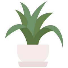 sansevieria icon