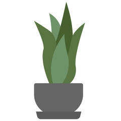 Snake Plant icon