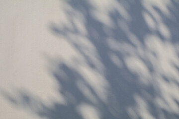 Natural leaves tree branch shadows and sunlight on white wall texture for background wallpaper. Abstract neutral nature concept