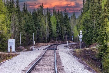 Scenic view of empty railroad tracks amid fir forest in Denali park at red sunset, Alaska