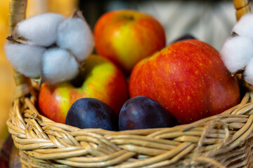 Ripe apples and plums in a vine basket close-up