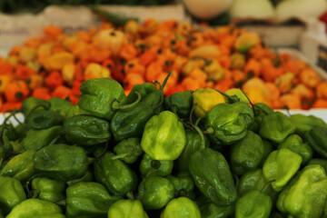 Heap of fresh Cascabel chili peppers on counter at market, closeup