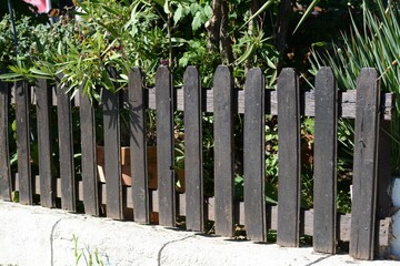 Low wooden fence near beautiful plants outdoors on sunny day