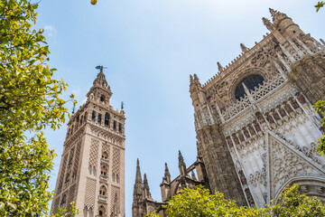 Obraz premium Perspective of the facade of the Puerta de la Concepción and the Giralda, an old mosque minaret integrated into the Cathedral of Seville, between orange tree leaves, SPAIN